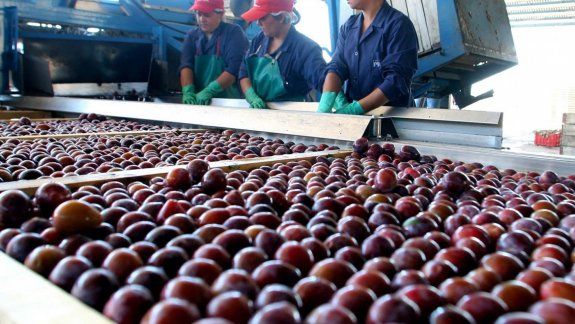 El caso Chile: cómo el acuerdo con la UE favorece a los productores