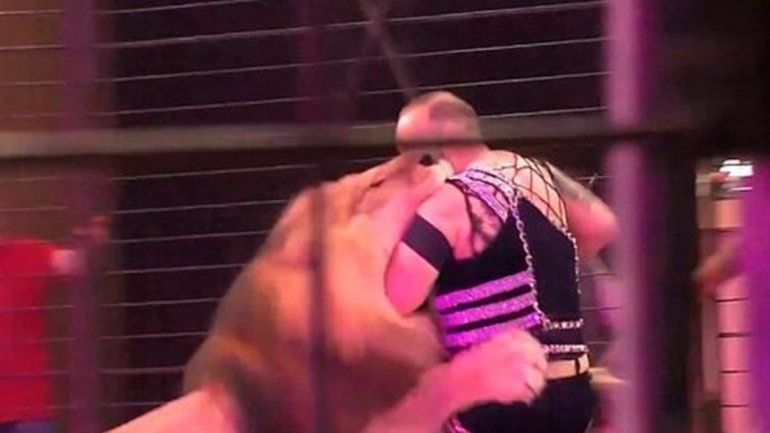 El aterrador video del ataque de un león a su entrenador