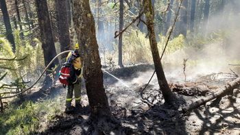 Cómo siguen los incendios en el norte del Parque Nacional Lanín