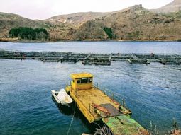 La empresa Salmon Trout opera en la cuenca del río Limay. La empresa Salmon Trout opera en la cuenca del río Limay.