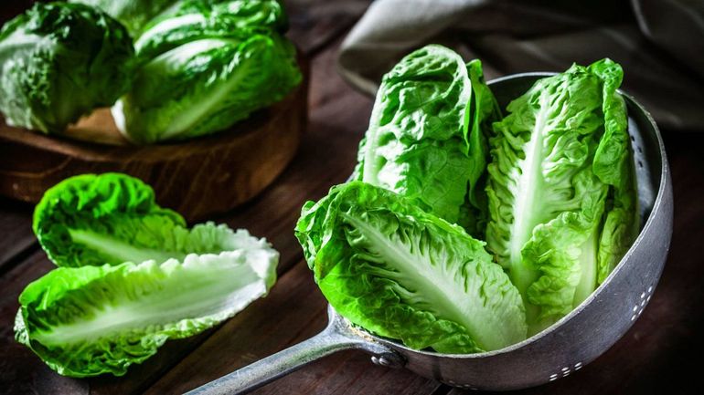 Ni film ni papel aluminio: cómo hay que guardar lechuga realmente para que no se marchite