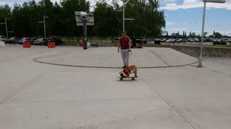 El perro skater neuquino que es furor