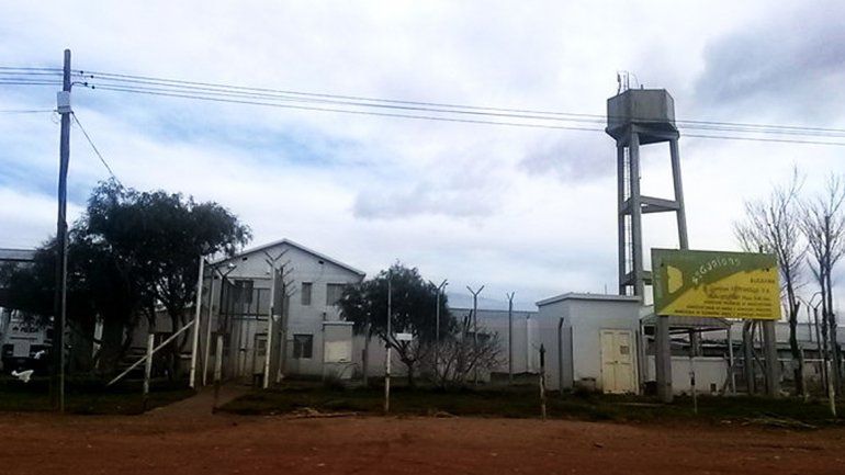 Quiso entrar una zanahoria rellena de marihuana a la cárcel