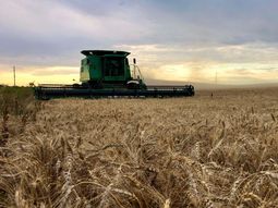 Los expertos afirman que en la ingeniería agrícola no será posible una solución eléctrica a gran escala. Los expertos afirman que en la ingeniería agrícola no será posible una solución eléctrica a gran escala.