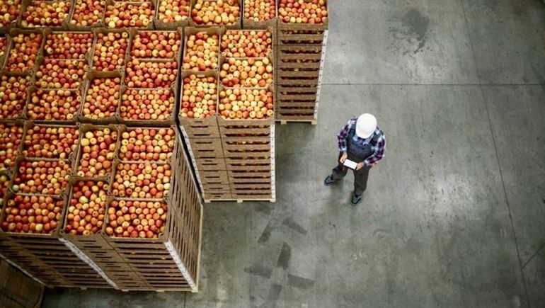 Un corte de energía afecta a las cámaras de frío con perdidas minuto a minuto. Un corte de energía afecta a las cámaras de frío con perdidas minuto a minuto.