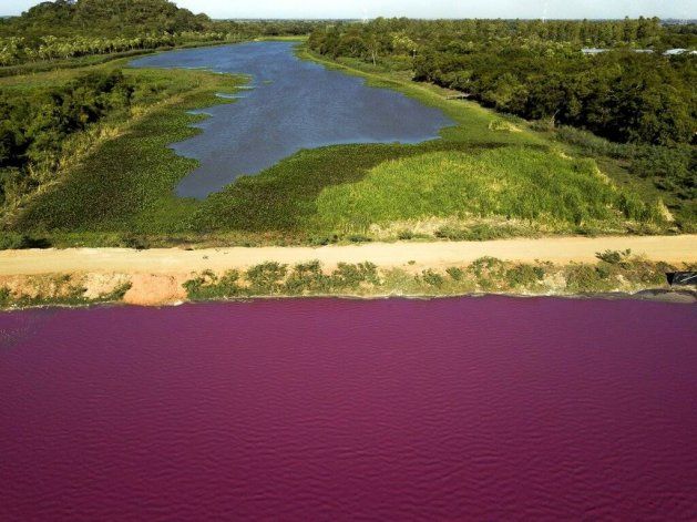 La laguna paraguaya que se volvió rosada por la contaminación