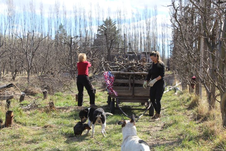 Desde Centenario, Valeria toma la posta en la chacra familiar y el trabajo de la tierra. Foto: gentileza. Desde Centenario, Valeria toma la posta en la chacra familiar y el trabajo de la tierra. Foto: gentileza.