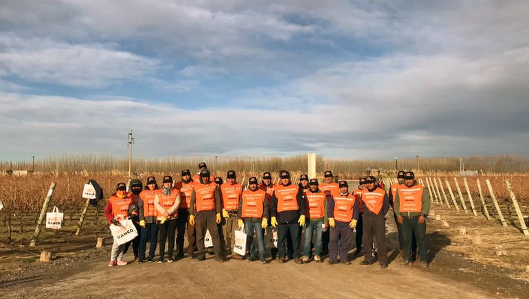 Las personas que participaron en la edición 2022 del concurso de poda profesional de la vid. Las personas que participaron en la edición 2022 del concurso de poda profesional de la vid.