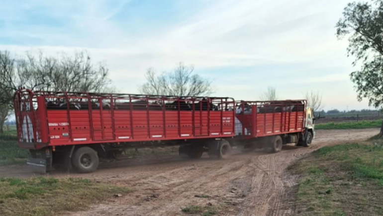 La carta de una productora al cerrar el tambo: Nos cachetearon de todos lados