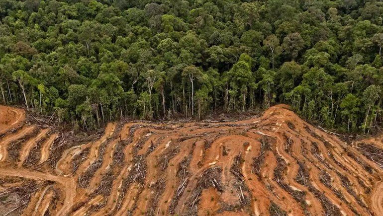 Los expertos dicen que el hombre va a tener que cambiar