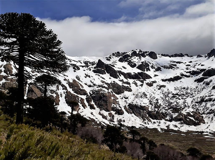 Campos de veranada, ¿en riesgo? Foto: gentileza. Campos de veranada, ¿en riesgo? Foto: gentileza.