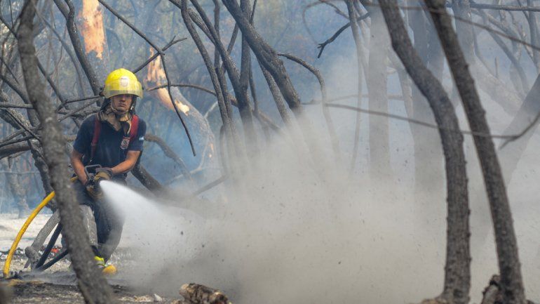 En los primeros días del 2017 ocurrió una seguidilla de incendios