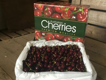 cosecha de cerezas australiana tendra su peor desempeno en cinco anos