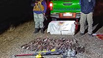 incautan truchas, codornices y lena nativa: el operativo en cinco rutas de neuquen