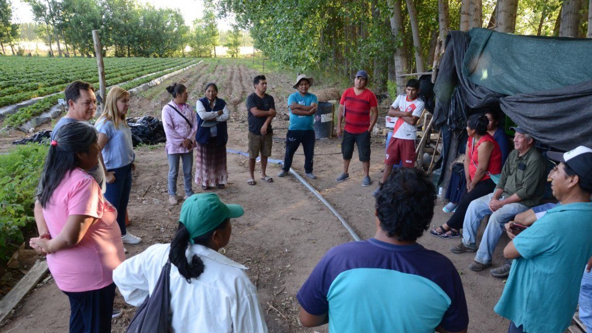 Frutilleros de Plottier extienden su plantación en tierras mapuches thumbnail