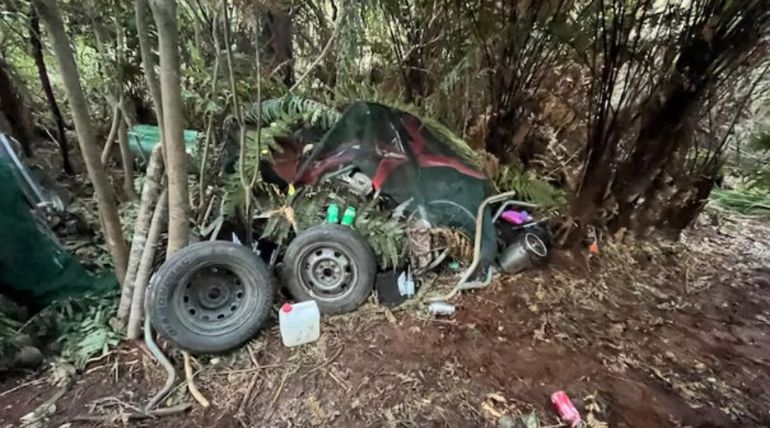 Horror: un hombre secuestró a sus hijos y los mantuvo aislados durante cuatro años en el bosque
