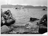 Castores liberados en Tierra del Fuego, en 1946.