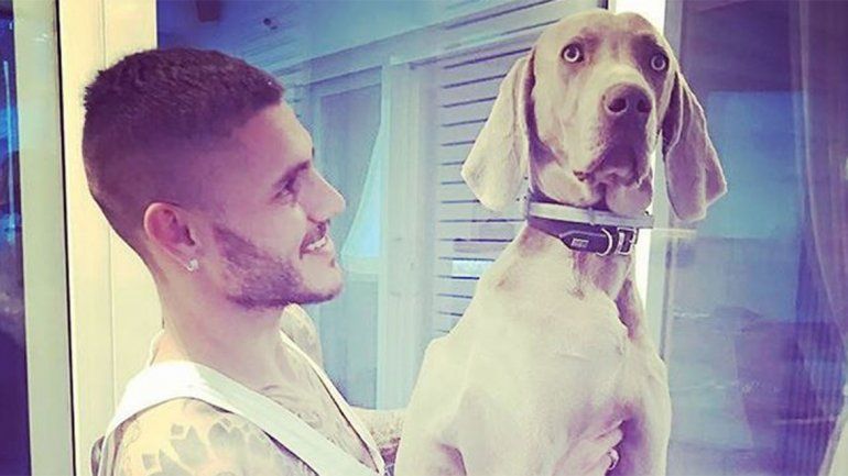 El dolor de Wanda Nara y Mauro Icardi tras la muerte de su mascota