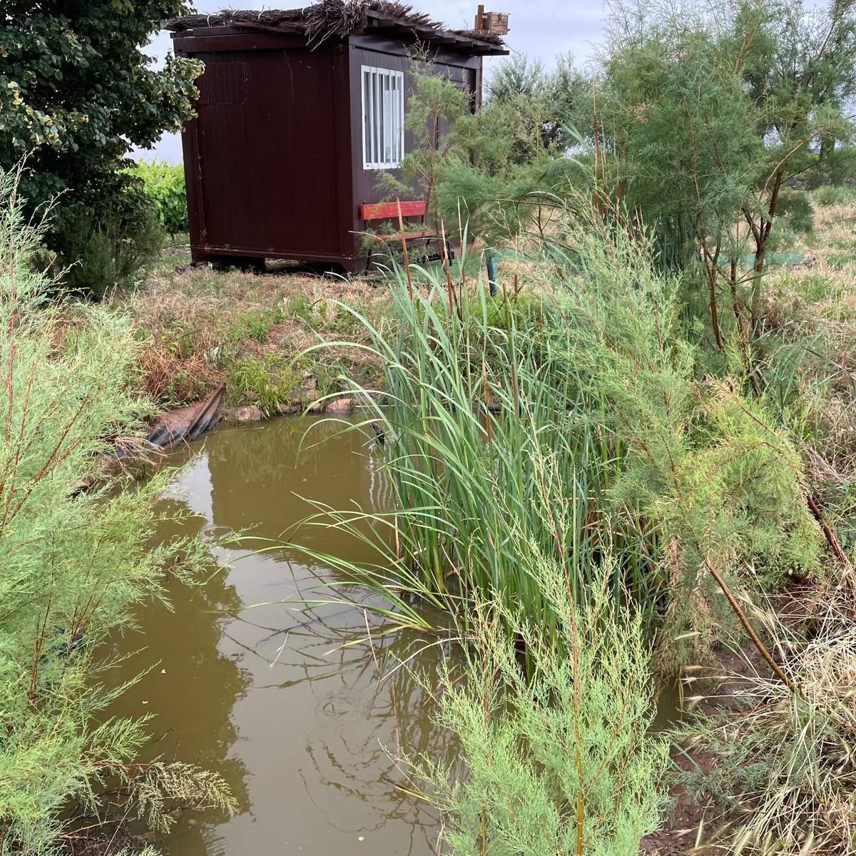 Charca de anfibios en La Rioja. Foto: @Bayer4CropsES