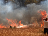 Incendios azotan la región de la Araucanía en Chile.