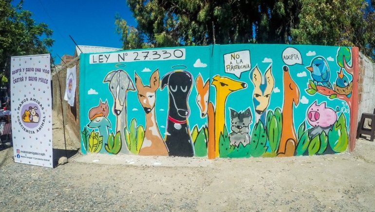 Organizaciones y ACIPAN en campaña contra la pirotecnia