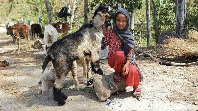 Ocho hombres están siendo juzgados por la violación de Kathua.