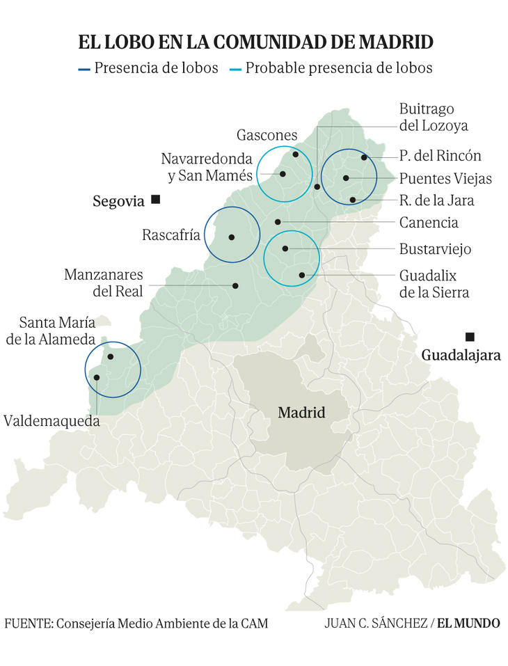 La presencia del lobo ib&eacute;rico en la Comunidad de Madrid aumenta. Mapa: El Mundo.