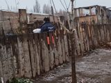 Temporal: evacuaron a una abuela que se le llovió la casa y reforzaron entrega de leña