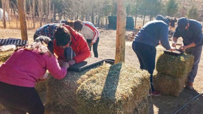 Cinco mujeres rurales cosechan verduras y abastecen a su zona