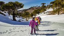 que pasara con el parque de nieve de primeros pinos que pasara con el parque de nieve de primeros pinos