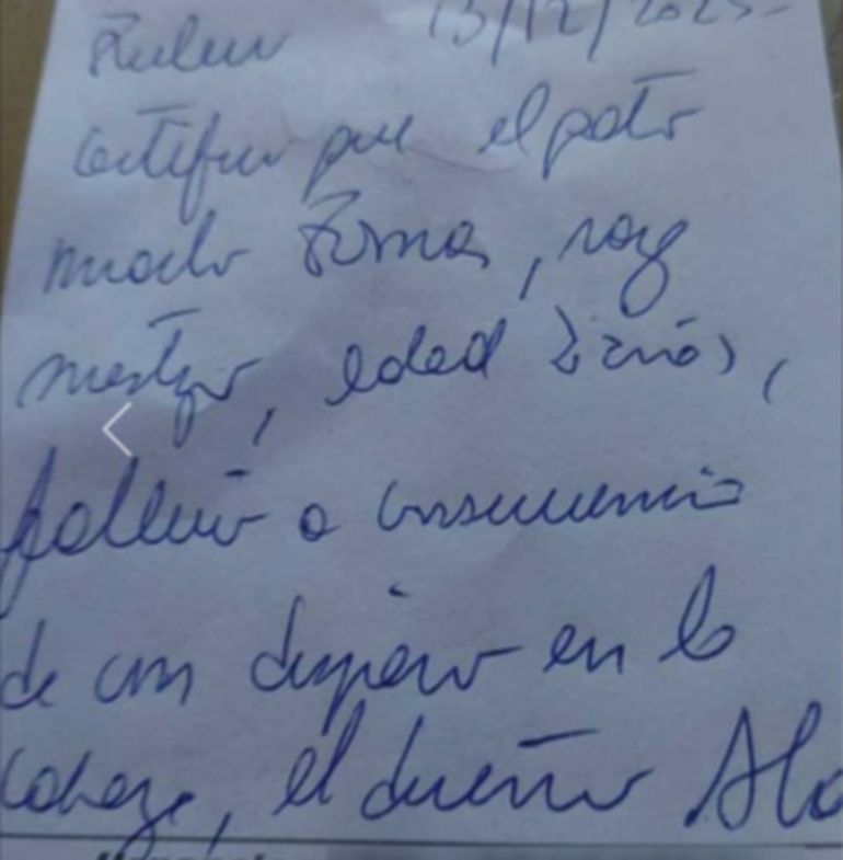 En su posteo, la dueña del gato asesinado mostró el cretificado de la cuasa de muerte. En su posteo, la dueña del gato asesinado mostró el cretificado de la cuasa de muerte.
