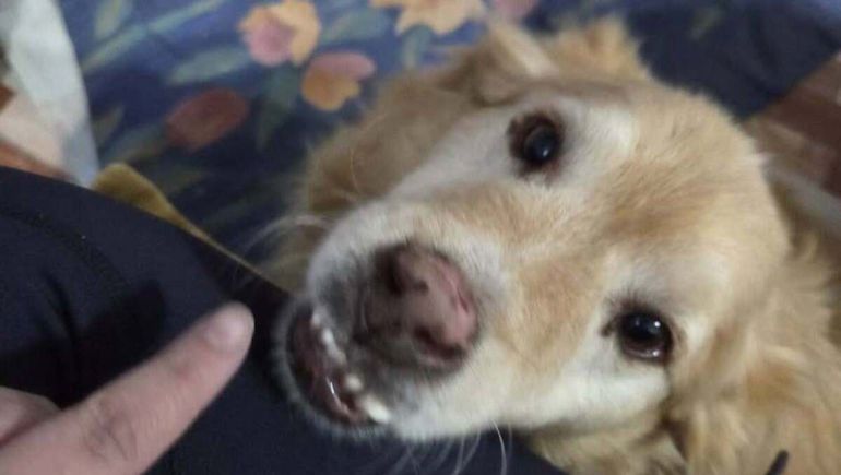 A Rubio lo encontraron muy cerca de su casa