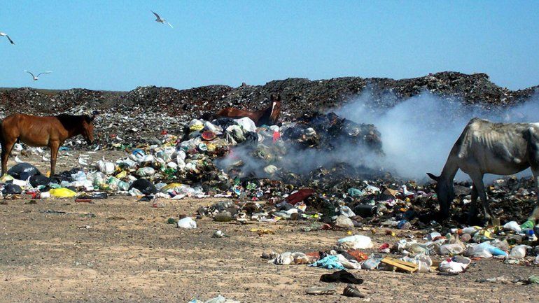 Harán estudio de impacto ambiental para obra del Girsu