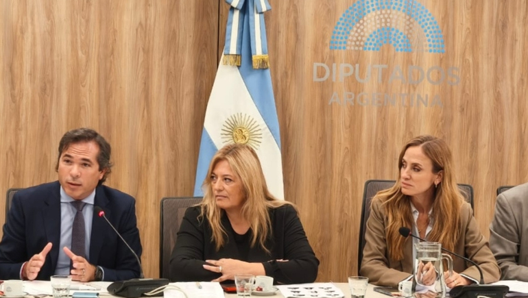 El plan para combatir el microtráfico de drogas en Neuquén fue presentado por Gerez en el Congreso de la Nación