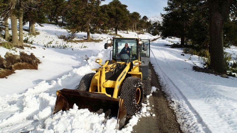 Cerraron Pino Hachado y piden máxima precaución en las rutas