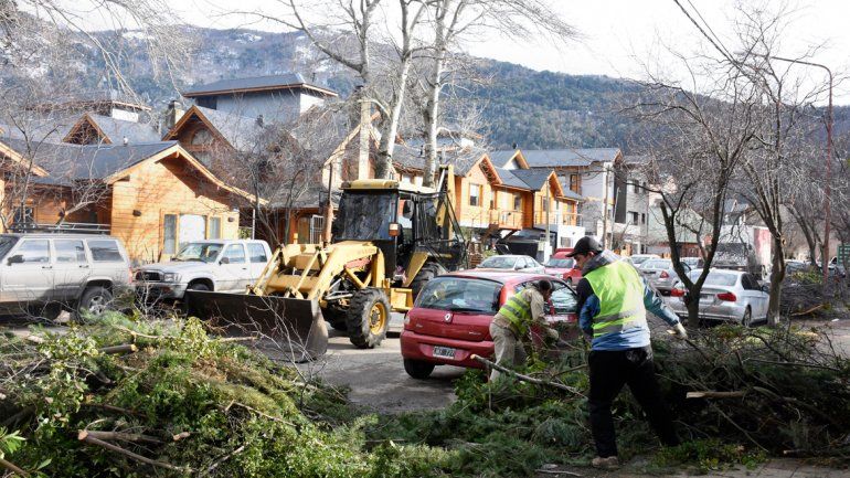 En San Martín de los Andes sigue la poda y el raleo de árboles.