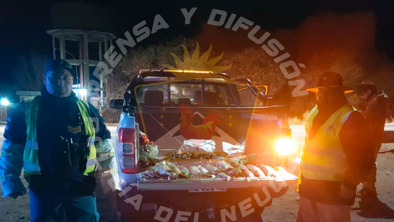 Un operativo en la ruta 237 logró el rescate de un piche y se decomisaron 19 truchas