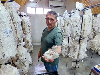 Gastón reformó un galpón para hacer allí todo el proceso productivo. Foto: neuqueninforma
