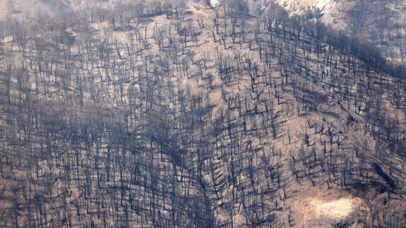 Extienden por decreto el estado de emergencia tras el incendio en Parque Nacional Lanín