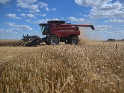 Brasil proyecta cosecha récord de granos en 2025, pero persisten desafíos logísticos y de precios. Foto: EFEAgro Brasil proyecta cosecha récord de granos en 2025, pero persisten desafíos logísticos y de precios. Foto: EFEAgro