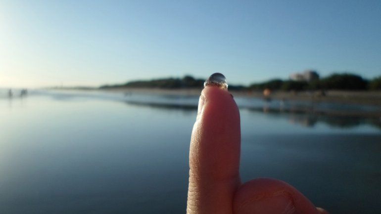 El calor es el gran culpable de los bichos que nos asustan