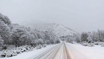 el frente frio llego para quedarse, asi avanza la ola polar con nieve en neuquen el frente frio llego para quedarse, asi avanza la ola polar con nieve en neuquen