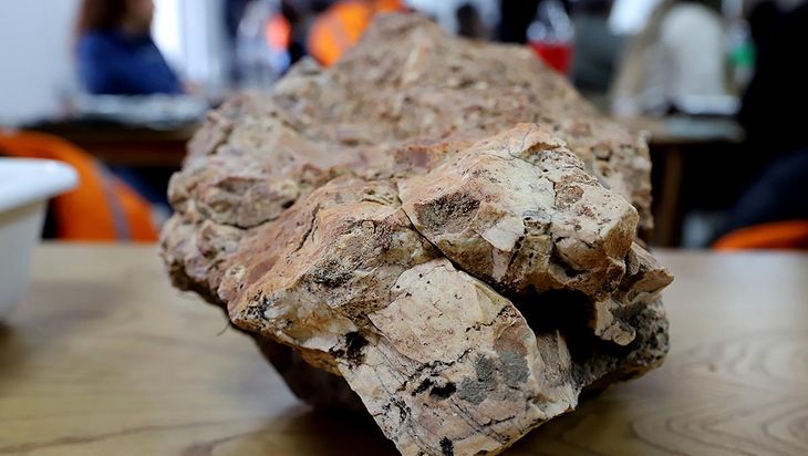 Calcatreu proyecta 256.700 onzas de oro y más de 1,1 millón de onzas de plata en su vida útil.