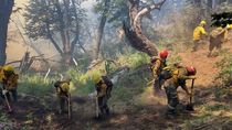 danos en quillen: el incendio arraso 2900 hectareas