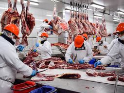 El estudio de FADA reveló que los argentinos comen menos carne vacuna y que la presión impositiva supera la cuarta parte del valor en góndola. El estudio de FADA reveló que los argentinos comen menos carne vacuna y que la presión impositiva supera la cuarta parte del valor en góndola.