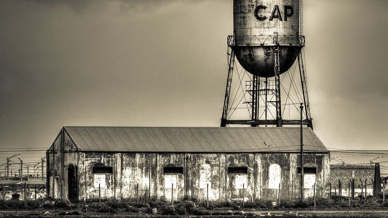 Frigoríficos en la Patagonia: el auge que transformó la industria de la carne