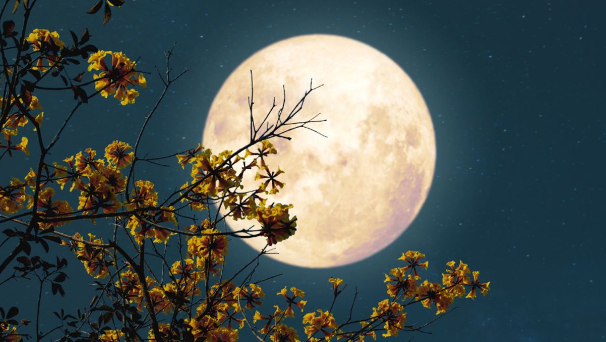Luna llena de abril: cuándo es y cómo se llama