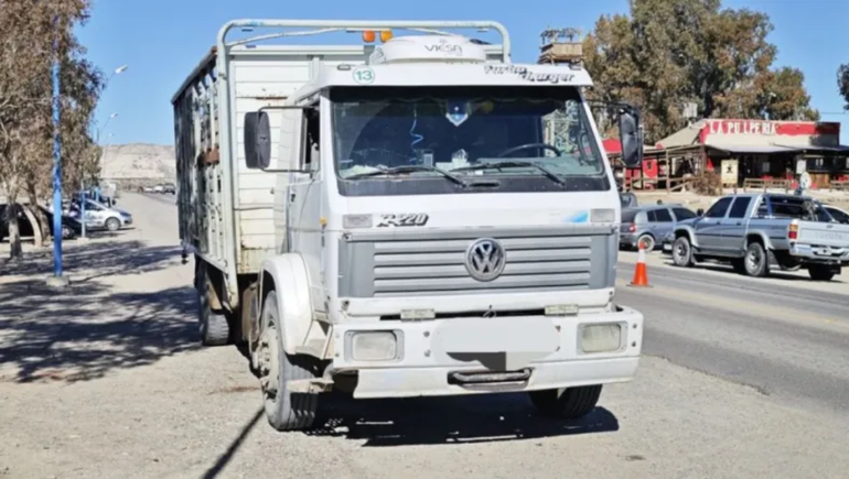 Un camión trasladaba casi 50 animales a Neuquén sin autorización y fue detenido
