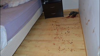 los golpes de la megabanda: boquetes, entraderas y robos a deptos centricos los golpes de la megabanda: boquetes, entraderas y robos a deptos centricos