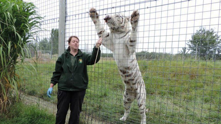 Rosa King era una mujer muy querida en el zoológico y tenía un gran vínculo con los animales